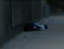 What to Do When You Are Feeling Hopeless?