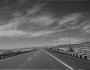 5 Steps to Become Determined In Life