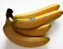 8 Healthiest Fruits You Must Eat