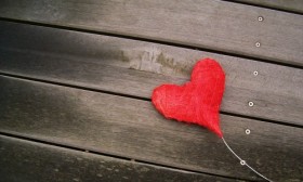 Do You Follow Your Heart Or Your Head In Life?