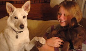 5 Things to Consider Before Getting a Dog