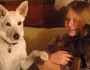 5 Things to Consider Before Getting a Dog