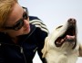 How to Take Care of a Dog?