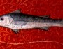 8 Characteristics of Pisces Men You Must Read About