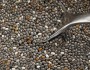 5 Health Benefits Of Chia Seeds
