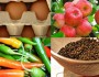 10 Foods That Burn Fat