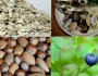 8 Foods That Lower Cholesterol