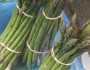 10 Health Benefits Of Asparagus