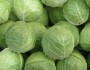 6 Benefits of Cabbage