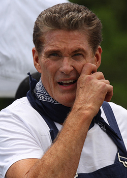 David Hasselhoff