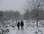 4 Fun Activities to Do in the Snow with Your Date 