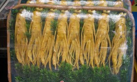 5 Ginseng Health Benefits