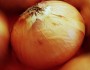 Health Benefits of Onions