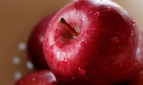 10 Most Healthy Foods to Eat
