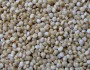 10 Health Benefits of Quinoa