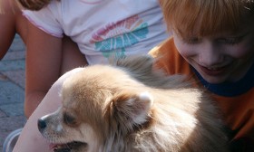 5 Tips to Get Your Child Ready for a Pet