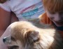 5 Tips to Get Your Child Ready for a Pet