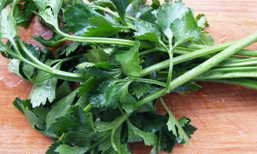 Celery