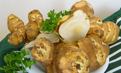 Ginger