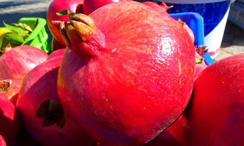 Pomegranate