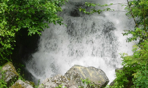 Tongass National Forest, Alaska