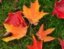 8 Things We Love about Fall
