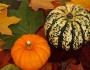 10 Fun Facts About Thanksgiving 