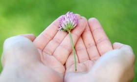 50 Things to Be Thankful for In Life