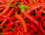 8 Health Benefits Cayenne Pepper