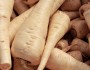8 Health Benefits of Consuming Parsnip