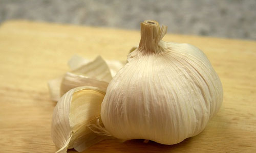 Garlic