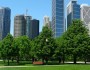10 Tips to Connect With Nature While Staying in a Big City