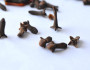 10 Health Benefits of Cloves
