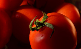 10 Health Benefits of Tomato Juice