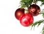 16 Fun Facts About Christmas You Didn't Know