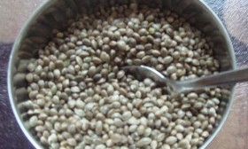 8 Health Benefits of Hemp Seed Oil