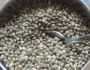 8 Health Benefits of Hemp Seed Oil