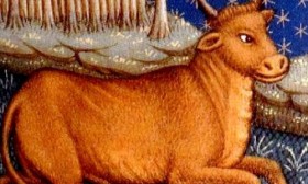 8 Tips on Dating a Taurus Man