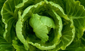 7 Foods that Detox Your Body