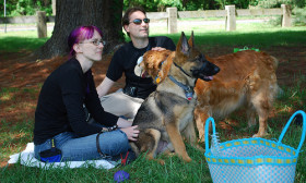 6 Advantages of Taking Your Pet with You on a Holiday