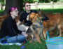 6 Advantages of Taking Your Pet with You on a Holiday