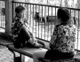 5 Reasons Why You Must Maintain a Distance with Your Neighbors