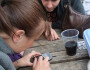 6 Useful Travel Apps for Your iPhone