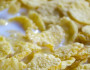 7 Most Healthy Breakfast Ideas