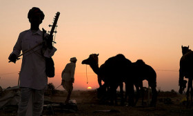 7 International Festivals You Must Attend at Least Once