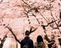 7 Signs You are Confused About a Relationship