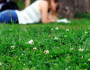 6 Things to Consider Before Opting for Further Studies
