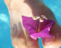 6 Ways to Soften Your Feet