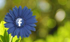 6 Good Reasons to Post Your Relationship Status on Facebook