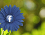 6 Good Reasons to Post Your Relationship Status on Facebook